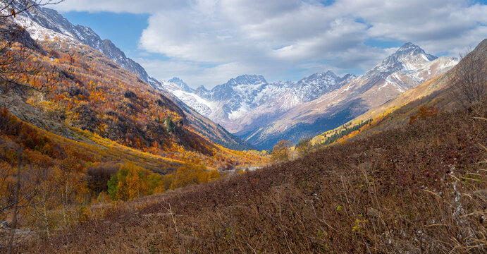 View of high snow-capped mountains and forested slopes in the Dombay-Ulgen Gorge