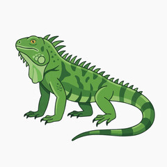 Fototapeta premium Green Iguana Illustration: A vibrant illustration of a green iguana, showcasing its distinctive crest and textured skin, posed confidently against a clean backdrop.