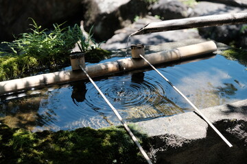 竹の吐水口から落ちる水滴と広がる波紋 日本庭園の手水鉢 © Yuka