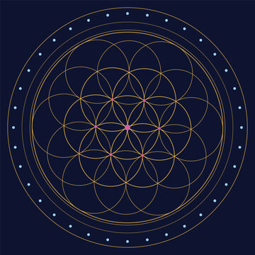 Seed of life mandala coloring page line art in jewel midnight