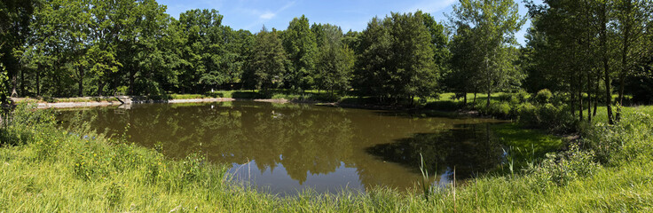 Fototapeta premium Pond Tichavek at the mountain Jarnik at Pisek, South Bohemian Region, Czech Republic, Europe 