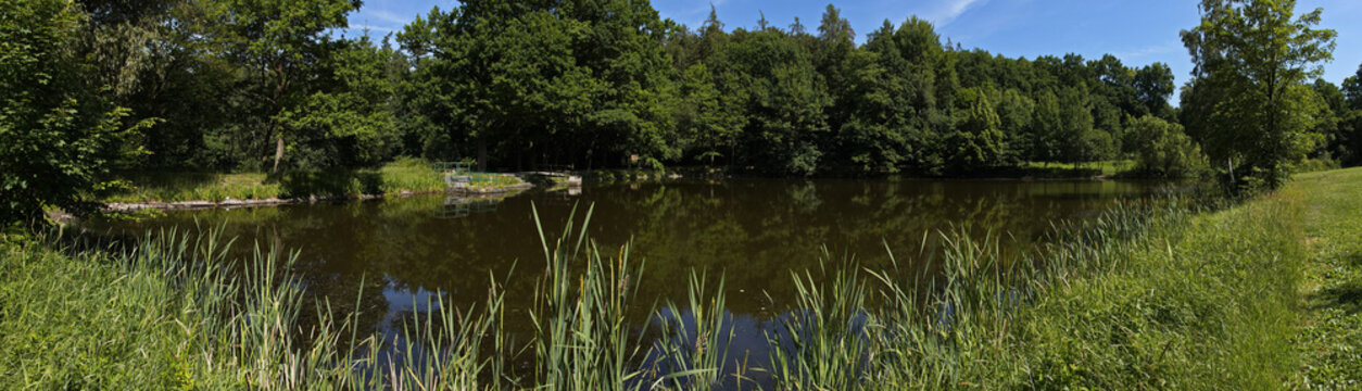 Pond Basta at the mountain Jarnik at Pisek, South Bohemian Region, Czech Republic, Europe
