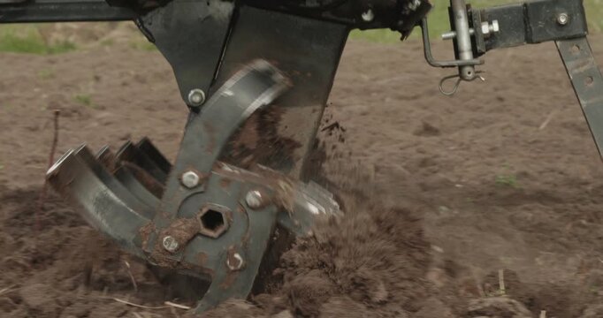 Close-up of a rotary tiller on a walk-behind tractor cultivating the ground, preparing the fertile soil for planting crops and turning the earth in a rural farm field during spring