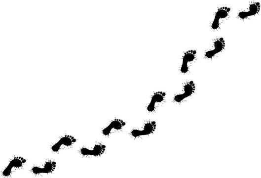 detailed walking muddy bare barefoot footprints editable pattern brush vector illustration
