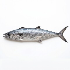 Naklejka premium Whole King Fish Seafood Isolated on White