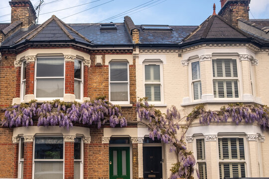 LONDON -&ndash; Victorian terraced houses covered in purple wisteria