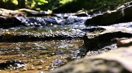 Fototapeta premium Shallow river flowing over porous rock bed, dense water bubbles, dappled light and shadow, serene aquatic macro view