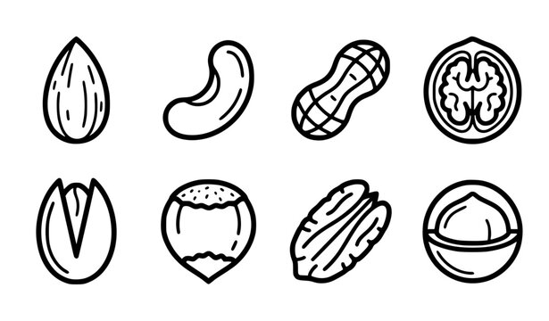 Healthy Nuts and Seeds Line Icon Set with Almond Cashew Peanut Walnut Pistachio Hazelnut Pecan and Macadamia Symbols for Organic Food Graphic Designs