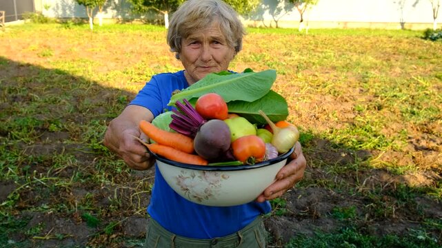 Grandma holds vegetables in the garden. Selective focus.