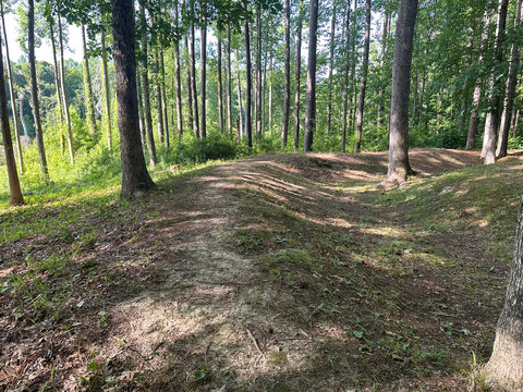 Historic Civil War earthworks wind through a forested landscape at New Bern Battlefield Park, preserving defensive positions from one of North Carolina&rsquo;s significant battles.