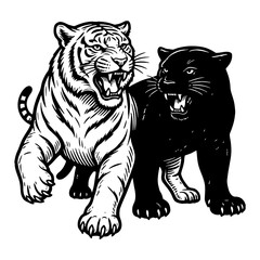 Fototapeta premium Two predatory big cats, a roaring tiger and a growling black panther, isolated on white, evoking strength and ferocity