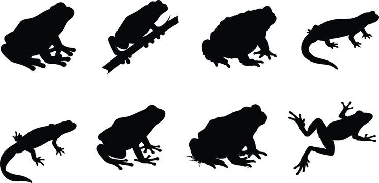 Amphibian and Reptile Silhouette Vector Collection Featuring Frogs Toads Salamanders and Tree Frog Poses
