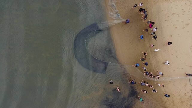 Aerial view of artisanal fishing in Saco do Mamangu&aacute;, Paraty, Brazil