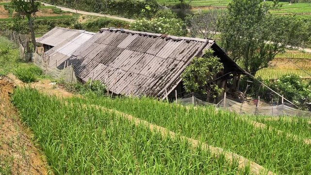 A simple wooden house with a tiled roof. A humble wooden house of the Hmong people in Y Linh village, Ho Sapa, Lao Cai.