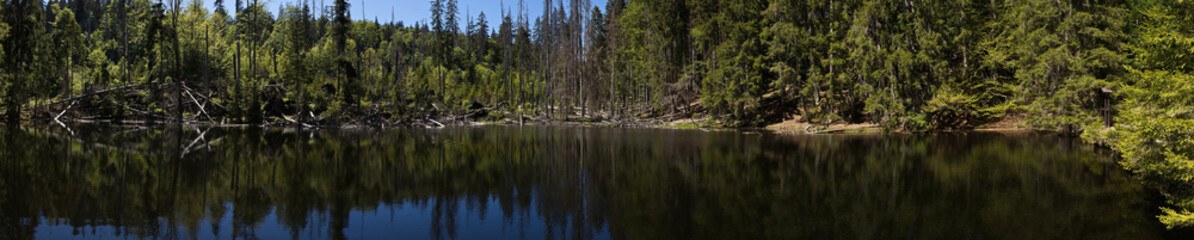 Obraz premium Lake 