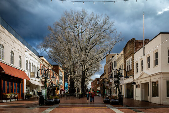 Small downtown buildings with tree on walking mall - Charlottesville, Virginia updated