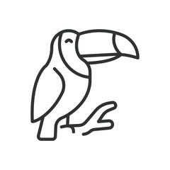 Obraz premium Toucan bird, icon in line design. toucan, bird, tropical, animal, wildlife, nature, beak on white background vector. Toucan bird editable stroke icon