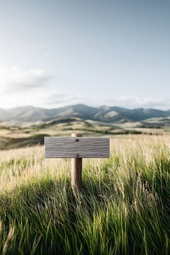 A weathered wooden signpost stands tall in a sun-drenched grassy field, with rolling hills and a clear sky in the background. The sign is blank, inviting interpretation or use as a waypoint