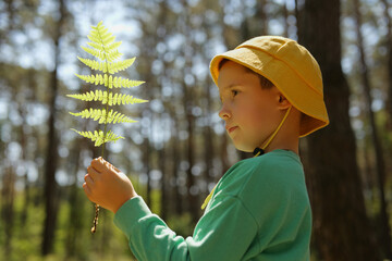 A child stands in the woods and holds a green fern close to their face. Sunlight filters through the trees around them. The sky is clear and bright © sementsova321
