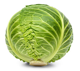 Fototapeta premium A whole, green cabbage sits on a transparent background. The cabbage has tightly packed, crinkled leaves and a round shape.