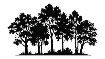 Tree silhouette against a white background detailed foliage and branches © SahinurCreation