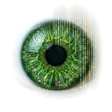 Digital biometric green iris scan with data code stream isolated on a clean white background