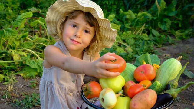 Vegetable harvest with a woman in a garden. Selective focus.