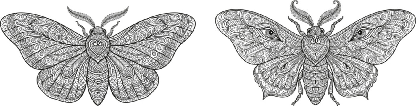 Detailed black and white moths with patterned wings