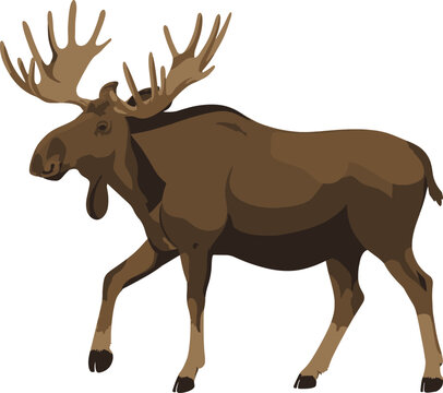 Alces Vectors