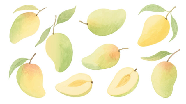 Cute hand-drawn mango fruit collection with slices and leaves