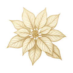 Obraz premium PNG Elegant golden poinsettia illustration