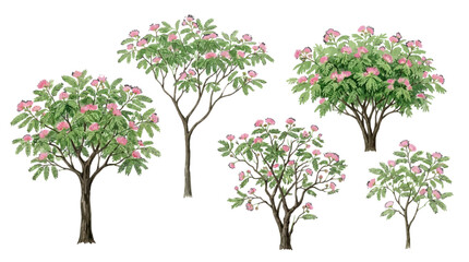 Obraz premium Beautiful flowering trees with pink blossoms showcasing vibrant springtime flora