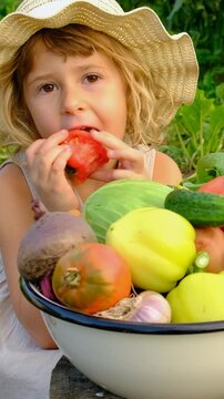 Vegetable harvest with a woman in a garden. Selective focus.