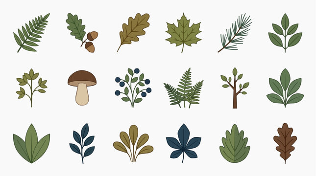 Collection of beautiful autumn leaf and botanical icons for natural concept.