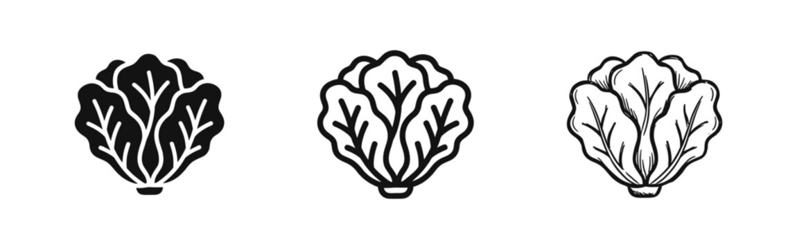 Fresh Lettuce Head Icon Set in Solid, Outline, and Hand-Drawn Styles