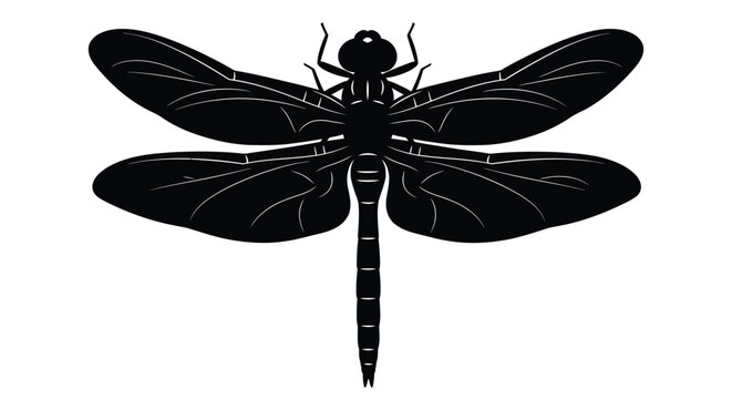 Dragonfly silhouette illustration black and white insect vector graphic