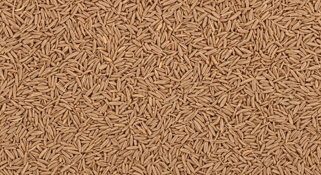 A dense collection of whole cumin seeds covers the entire frame. The seeds exhibit a warm, earthy brown color and a slightly rough texture.