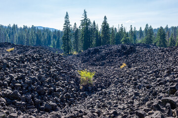 View Of An Ancient Lava Field © JEFF