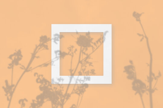 Natural light casts shadows from the field grass on one white square frame lying on a orange background. Mockup