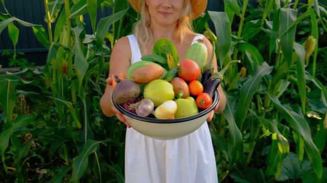 Vegetable harvest with a woman in a garden. Selective focus.
