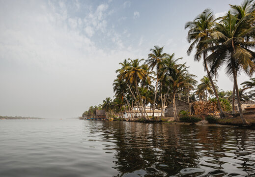 Serene Lagoon Waterfront with Palm Trees in Assinie-Mafia, C&ocirc;te d'Ivoire
