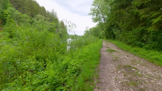 Personal perspective walking on a scenic dirt path along a river through a lush green forest