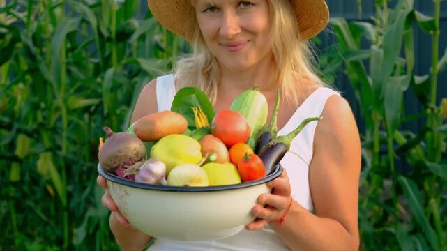 Vegetable harvest with a woman in a garden. Selective focus.