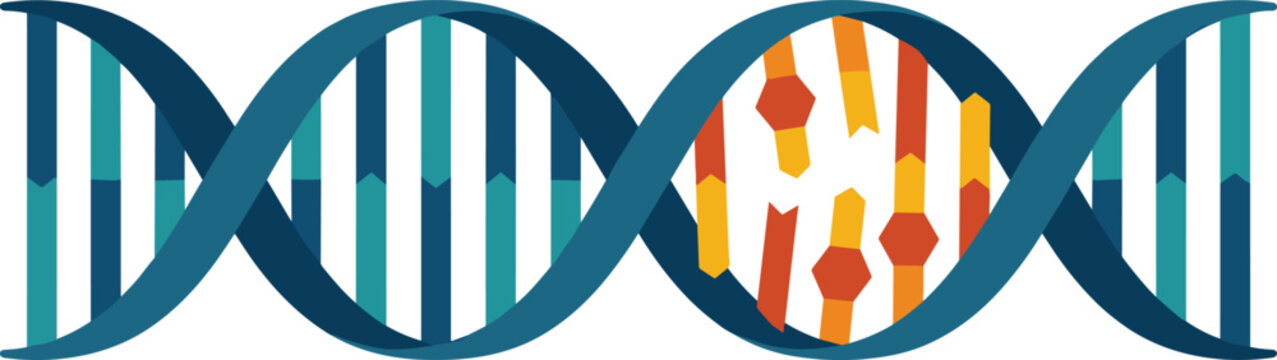 DNA Double Helix Vector Illustration with Genetic Sequence Highlight for Biotechnology, Genomics Research, Medical Innovation and Scientific Education