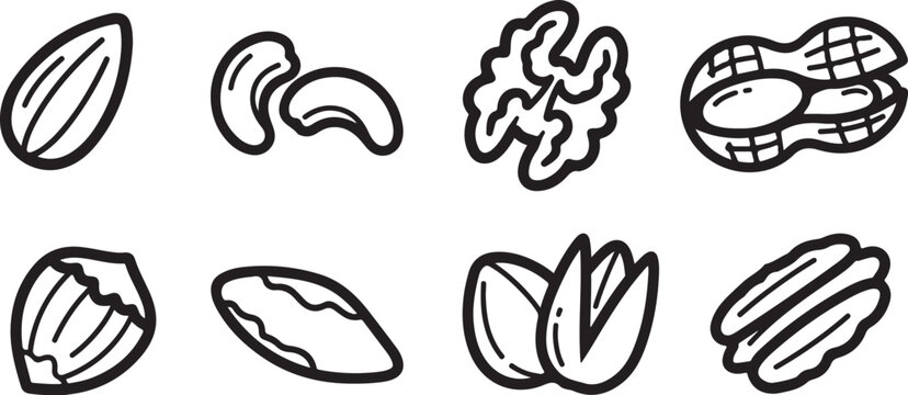 Black and white line drawings of various nuts and seeds