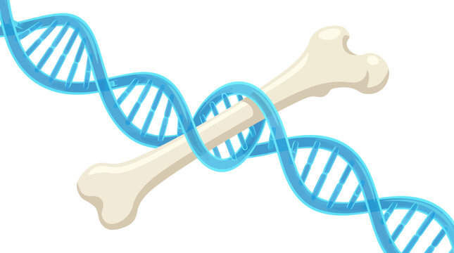 DNA Double Helix Wrapping Human Femur Bone