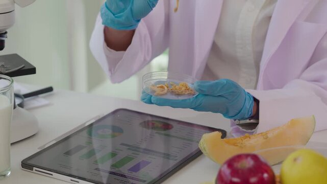 Close-up of food scientist using tweezers to pick melon seeds from petri dish for microscope analysis, conducting quality control and agricultural breeding research in laboratory.
