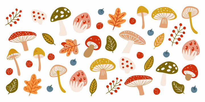 Colorful mushrooms leaves and berries vector illustration on white background