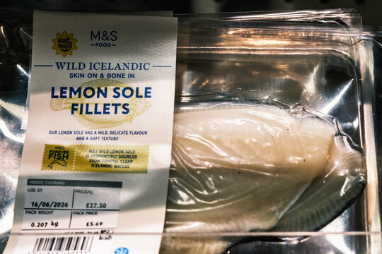 Packs of Wild Inelandic Lemon Sole Fillets Fish With No People