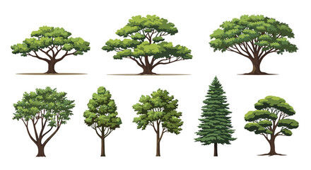 Fototapeta premium Diverse collection of detailed green tree illustrations shows various species with different canopy shapes and branch structures.